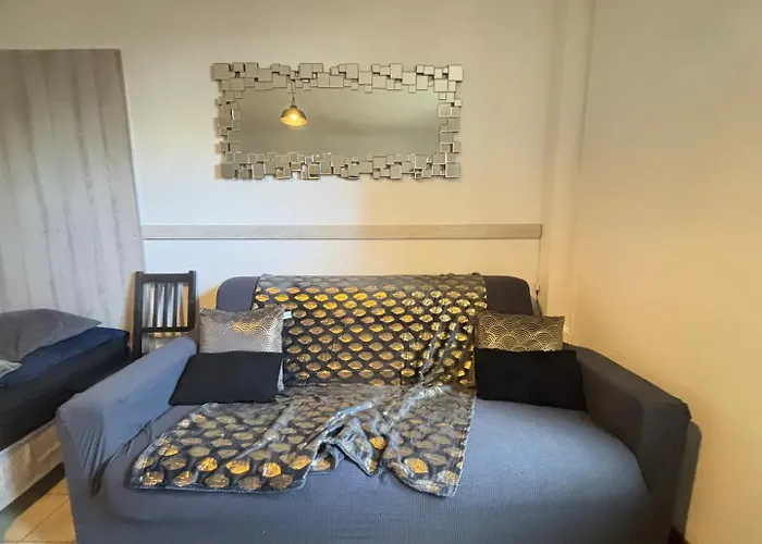 Appartement Le Lorrain Wifi Un Sejour A Part Metz