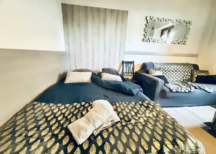 Le Lorrain Wifi Un Sejour A Part Appartement Metz