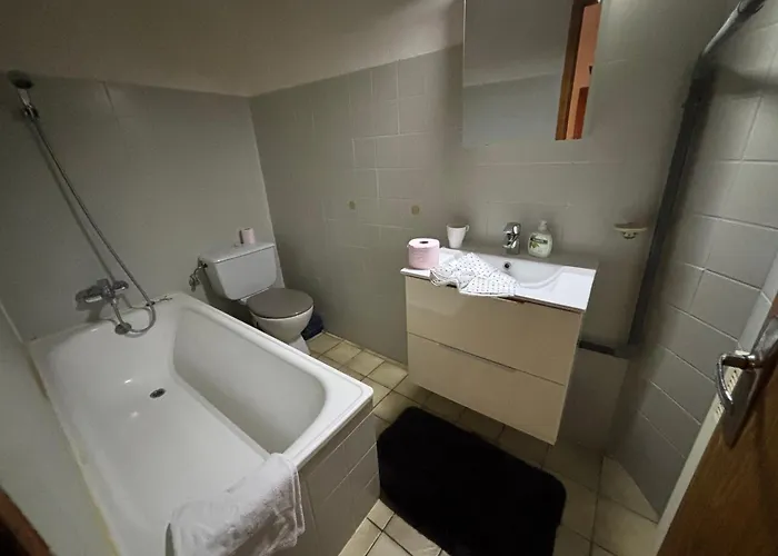 Le Lorrain Wifi Un Sejour A Part Appartement Metz